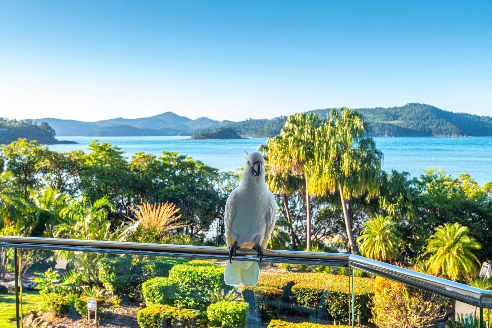 Lagoon Apartments On Hamilton Island By Hiha ภายนอก รูปภาพ